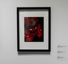 Untitled Untitled
