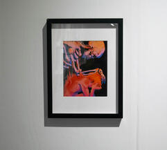 Untitled Untitled